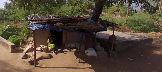 india roof.JPG