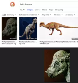balddino.png
