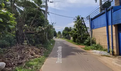 1736124393386.png