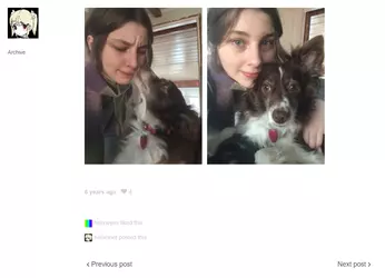 haiselnet2.png haiselnet2.png