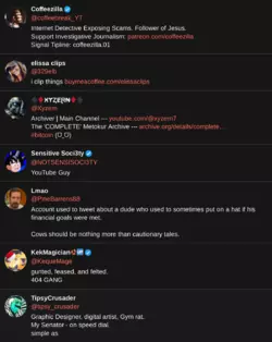 nitterfollowing4.png