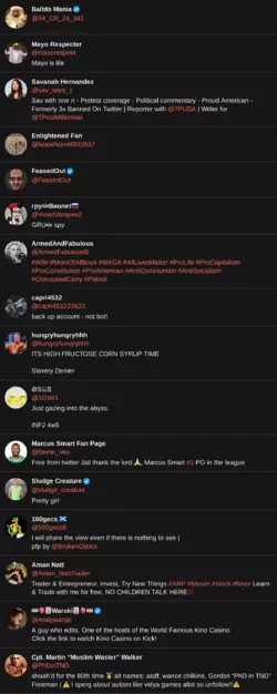nitterfollowers1.png