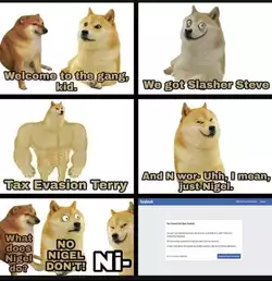 doge-n-word-nigel.jpg