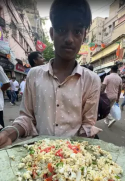 OMLET SAAR.png