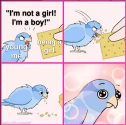 1736176360771.png
