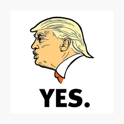 trumpyes.jpg