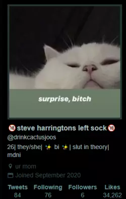 slut in theory.PNG
