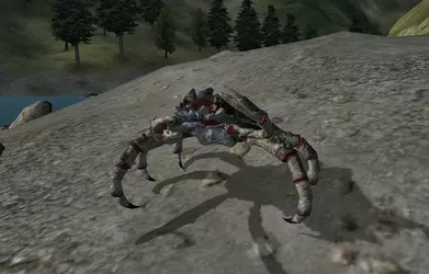 Cyrodillic_mudcrab.webp