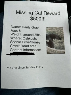 1000011452.jpg