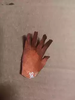 Lil hand.jpg