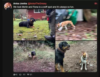 1736312977784.png