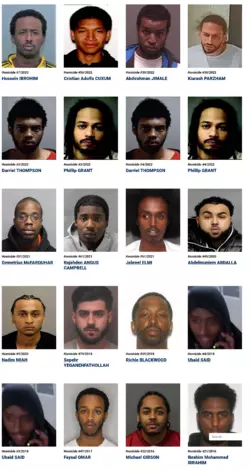 Screenshot 2023-06-20 at 02-32-25 Most Wanted- Toronto Police Service.png