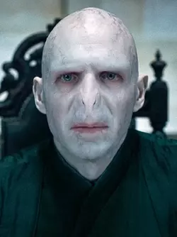 VoldemortDMP1.webp