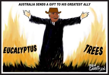 australia_eucalyptus.jpg