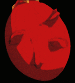 behelit.gif