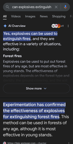Screenshot_20250108_183657_Chrome.jpg