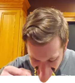 Sniff dustnight.png