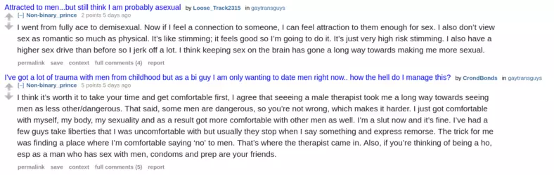 Screenshot 2025-01-08 at 14-08-19 overview for Non-binary_prince.png