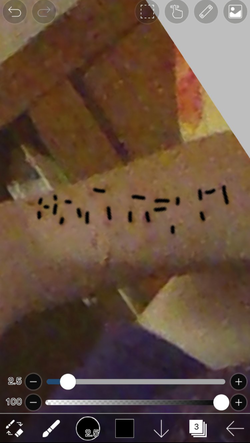 IMG_1436.jpeg