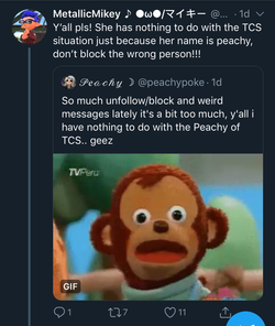 1736416272223.jpeg