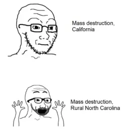 1736434510928.png