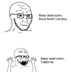 1736434611714.png