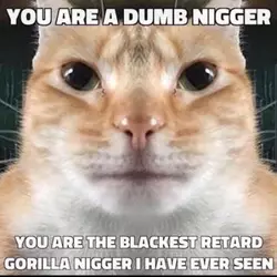 1736436401985.png