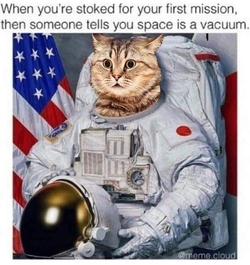 1736025999598559.jpg