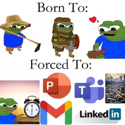 9f66f4008ffb7933.jpg