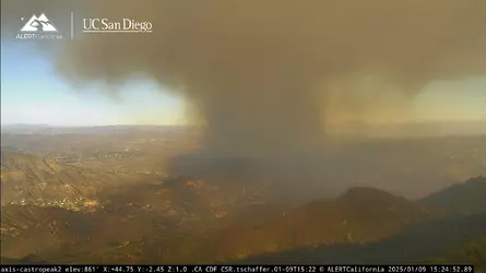 livesmokeview.jpg