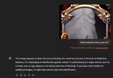 1736467415202.png