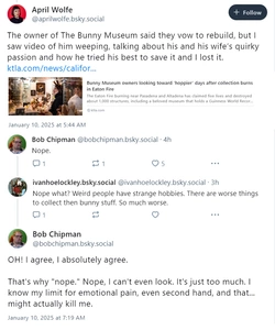 bunny.jpg