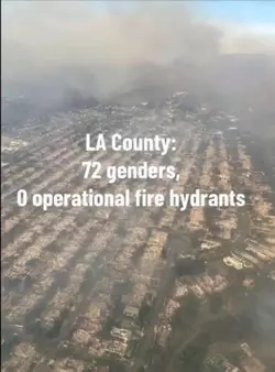 hydra.jpeg