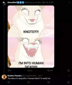 1736485044629.png