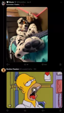 1736485286986.png