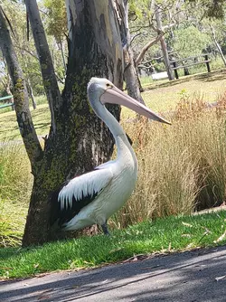 20250109_114932.jpg