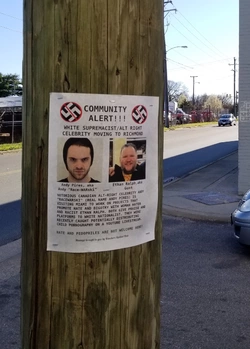 8976785.jpg