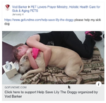 Screenshot from 2019-03-03 22.23.05.png