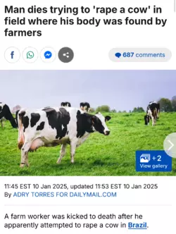 Screenshot_20250111-123723.png