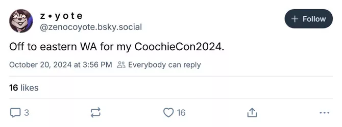 CC5.jpg
