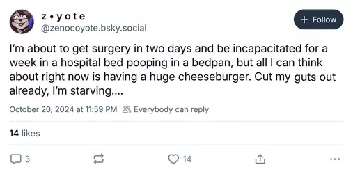 CC8.jpg