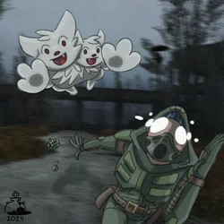stalker boikisser.jpg