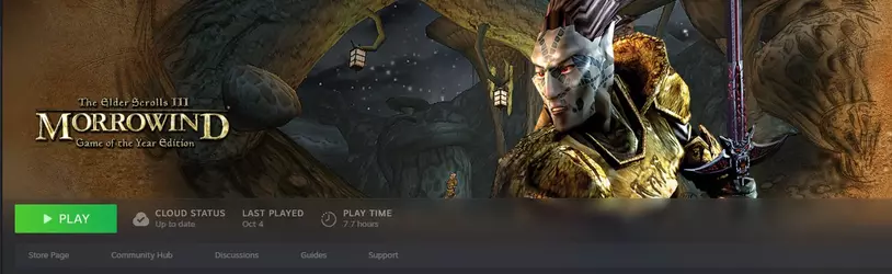 steam_is_easy_and_convenient.webp