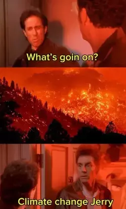 1736637791120.png