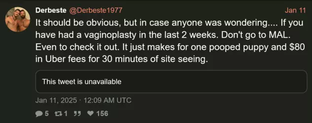 Screen Shot 2025-01-12 at 03.47.30.png