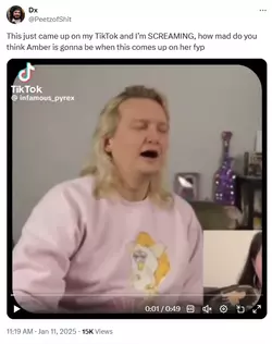 2025-01-11 23_28_09-(2) Dx on X_ _This just came up on my TikTok and I’m SCREAMING, how mad do...png