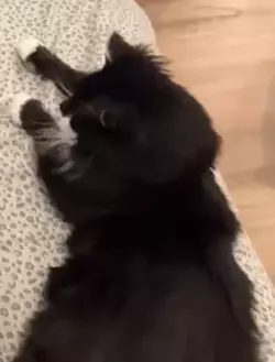 Precious boy