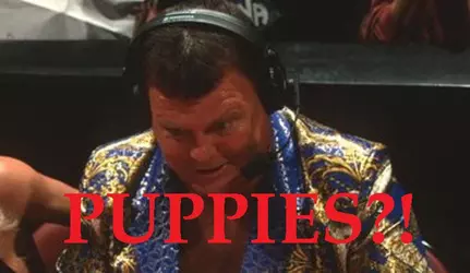 Wrasslin Meme.jpg