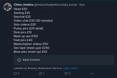 Screenshot 2025-01-12 at 15-24-17 Chloe Jenkins (@misschloejenkins.bsky.social) — Bluesky.png