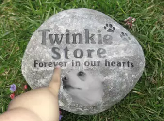 TWINkIE STORR.png